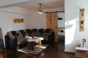 Casa Retro Toplița